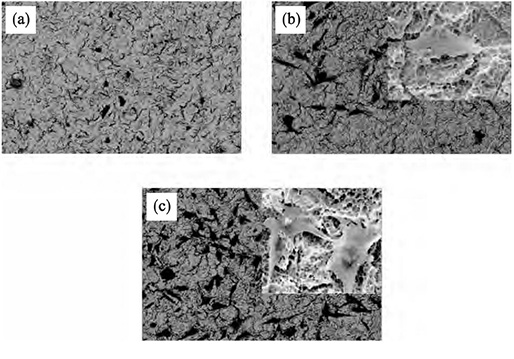 1618454095343668.jpg 圖31.jpg